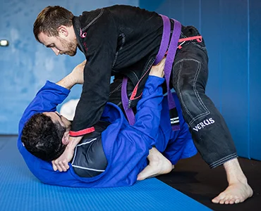 What BJJ Can Do For You Blog